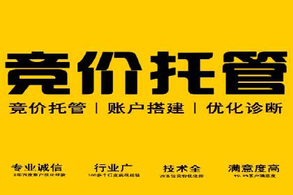 SEM搜索引擎优化案例：如何提升网站流量和转化率